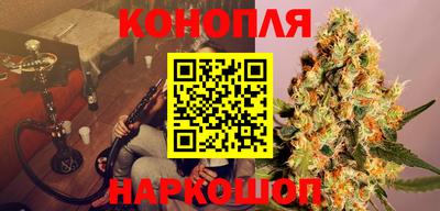 сатива Дубна