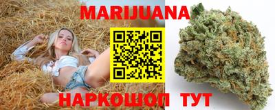 сатива Дубна