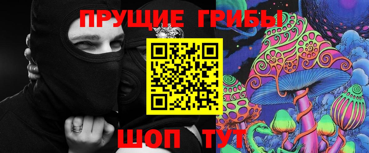 Галлюциногенные грибы Psilocybe Луга